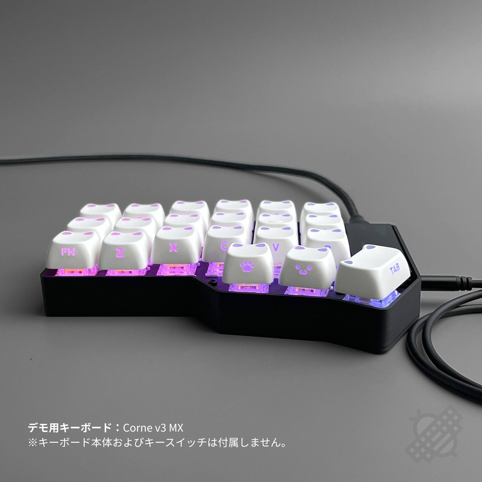XVX Lumicat MAO Profile サイド刻印・LED透過対応 113Key Keycap Set (エコ包装)